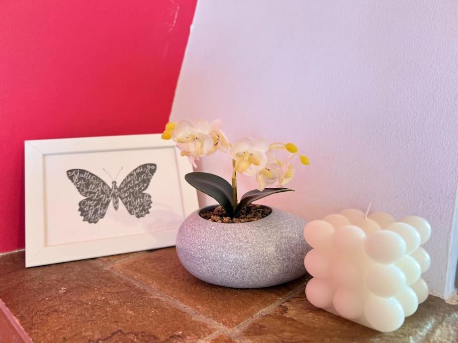 Cozy Fairytal Garden Apartment, Family Friendly, Free Parking, 15 Min To Airport Athena Bagian luar foto